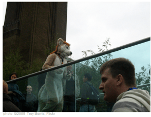 Look! There's one now!